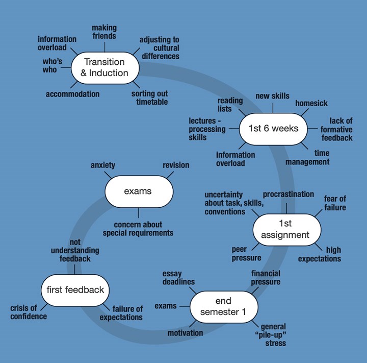 Study Cycle Diagram