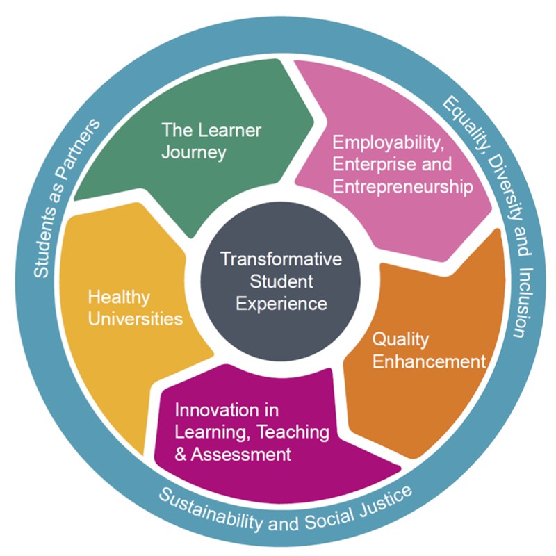 Student Experience Diagram