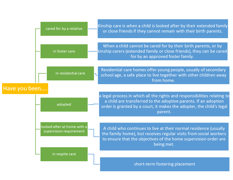 Care Leavers Graphic