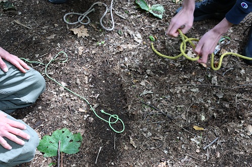 Image of outdoor working